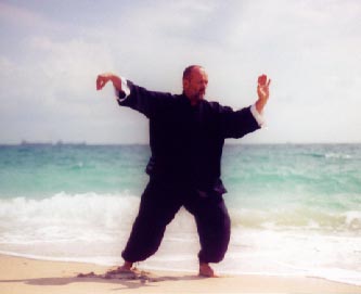 Yang Style Tai Chi