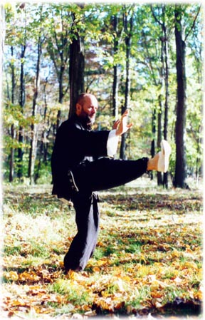 Yang Style Tai Chi